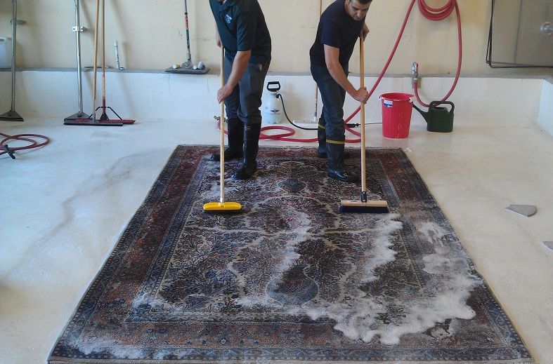 Deep Rug Cleaning in Dallas